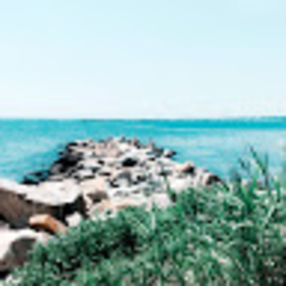 Meet your Posher, Hayl